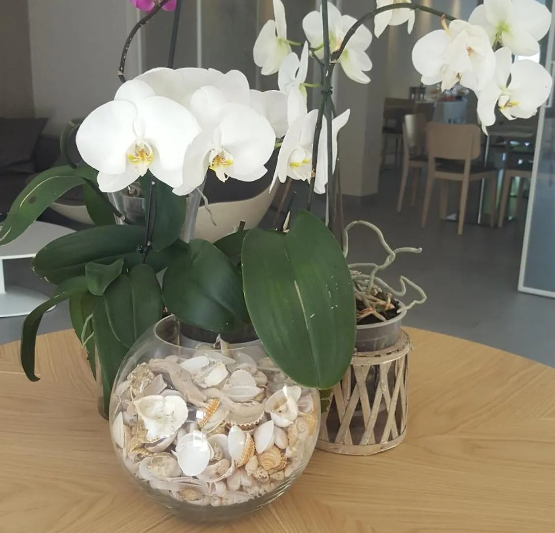 Hotel Villa Barsanti Pietrasanta